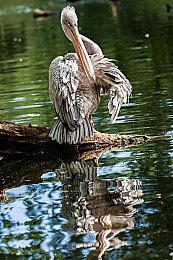 E3：国王为国民做媒 《Lakeburg Legacies》预告片